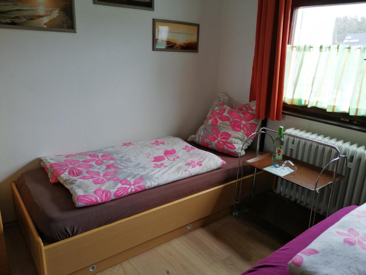 2 Raum Ferienwohnung Sonnenschein Sankt Englmar Exteriör bild